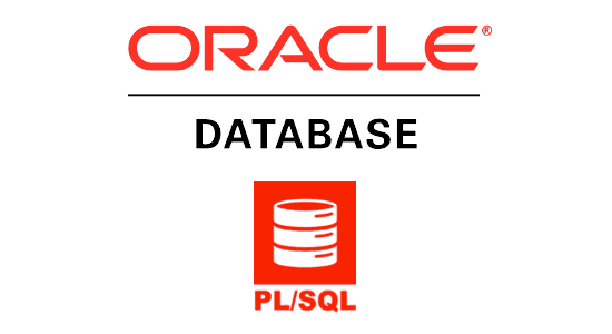Exception handling in oracle pl/sql with example 